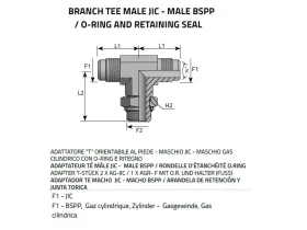 HST JIC- AG-BSPP-JIC CENTR catalog-item_2651300_img_16051823470547