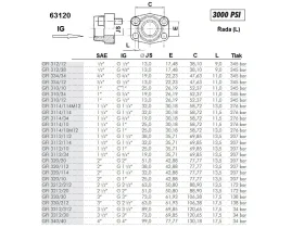 PŘÍRUBA IG/SAE-3K/6K OBDÉLNÍKOVÁ catalog-item_2631874_img_15602193086074