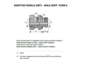 HPPG BSPP/ORFS - Hrdlo Přípojky Přímé catalog-item_2407966_img_16730135798090