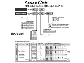 C55- KOMPAKTNÍ VÁLEC ISO 21287 catalog-item_2696485_img_17231793228654
