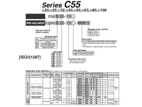 CD55- KOMPAKTNÍ VÁLEC ISO 21287 DVOJČINNÝ catalog-item_2697065_img_17266257863794