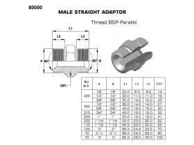 NIPL NEREZ 2XAG-BSPP SV 60° catalog-item_2408530_img_16741062157452
