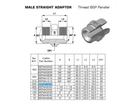 NIPL NEREZ 2XAG-BSPP SV 60° catalog-item_2408530_img_16741065696306