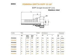 DKR/NEREZ KUŽ60°- FEMALE BSPP catalog-item_2398911_img_16660995342039