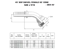 DKR45° KUŽ60- NEREZ FEMALE BSPP catalog-item_2398914_img_16730125417225