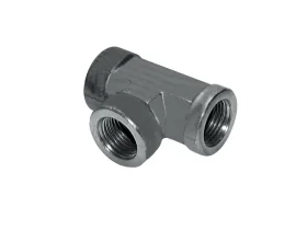 HST 3XIG BSPP GAS NEREZ