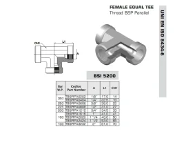 HST 3XIG BSPP GAS NEREZ catalog-item_2651920_img_16730135809035