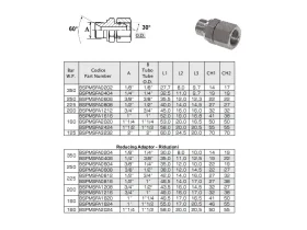 NIPL AG/IG-REDU-BSPP SV 60° NEREZ catalog-item_2651898_img_16880913168559