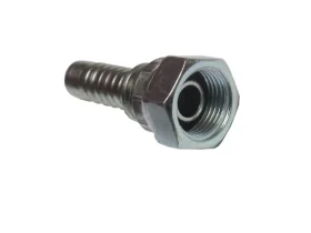 BSP FBSPORX